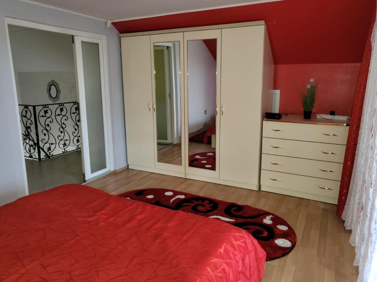 Vila Ana Cu Terasa Gratar Si Jacuzzi Villa Satu Mare Exterior photo