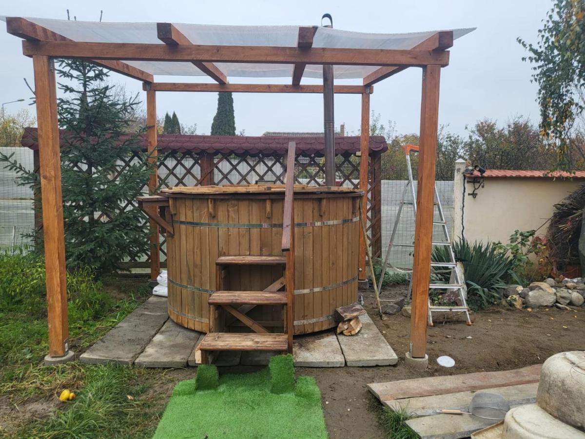 Vila Ana Cu Terasa Gratar Si Jacuzzi Villa Satu Mare Exterior photo